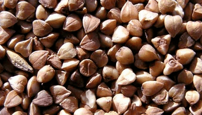 Porridge de sarrasin pour perdre du poids